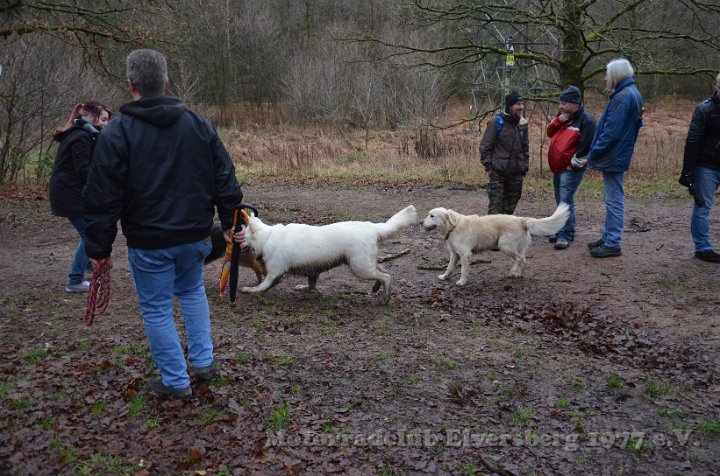 Wandertag 2016 - 077.jpg